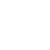 ms icon 1