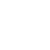 ms icon 3