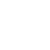 ms icon 5