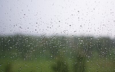 Hurricane Protection Impact Windows: Storm-Ready Solutions for Your Home