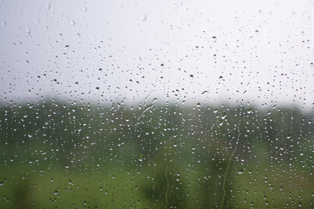 Raindrops on the window during a strong hurricane with wind in nature.